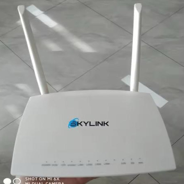 ROUTER WIRELESS SKYCORE